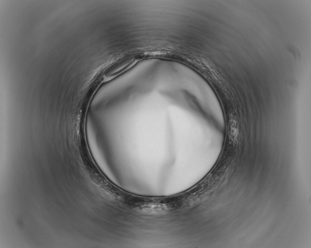 X0000112720543200909101449