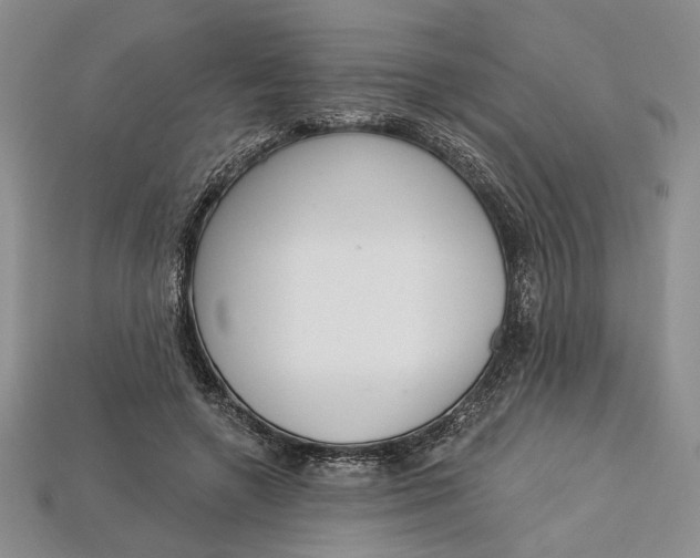 X0000112720546200909101449