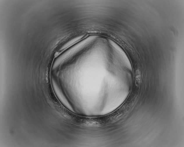 X0000112720547200909101449