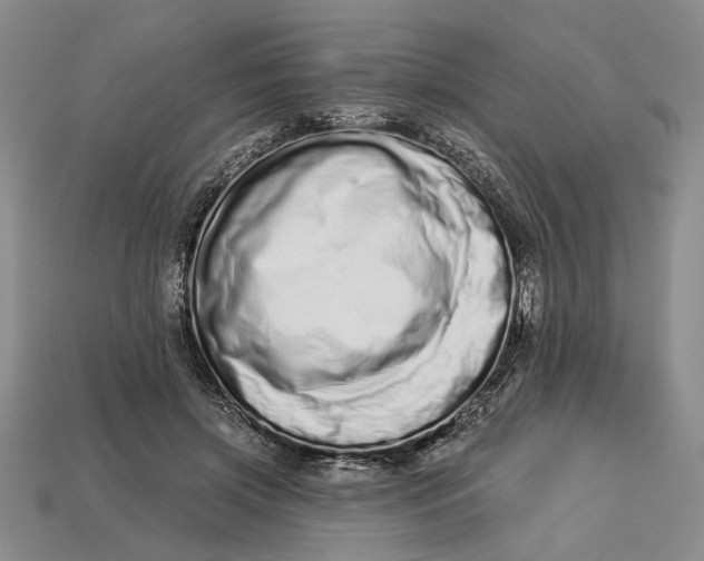 X0000112720549200909101449