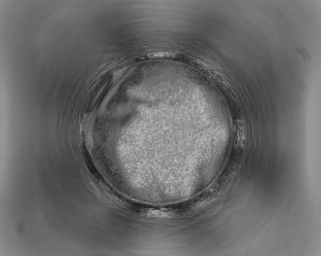 X0000112720550200909101449