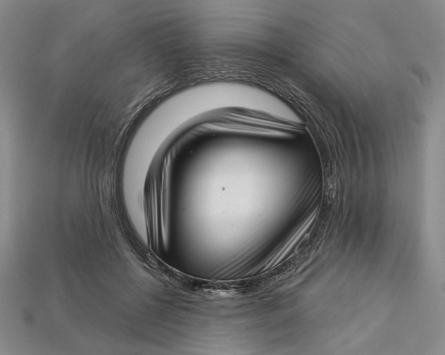 X0000112720552200909101449