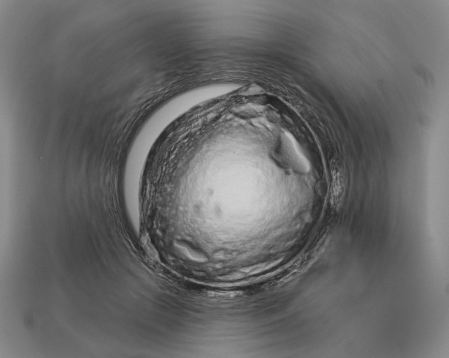 X0000112720553200909101449