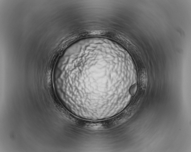 X0000112720554200909101449