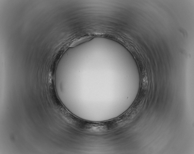 X0000112720555200909101449