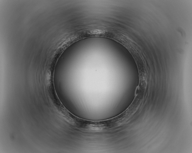 X0000112720556200909101449