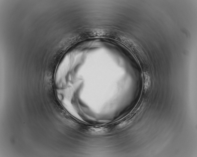 X0000112720557200909101449