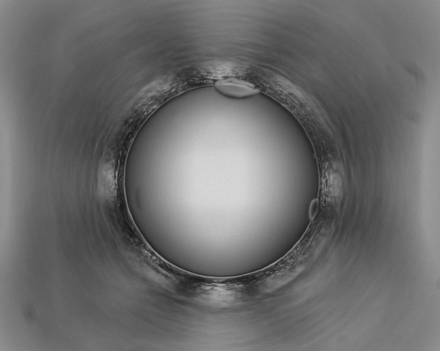 X0000112720558200909101449