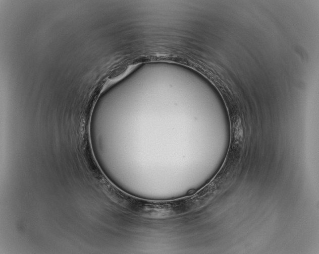 X0000112720559200909101449