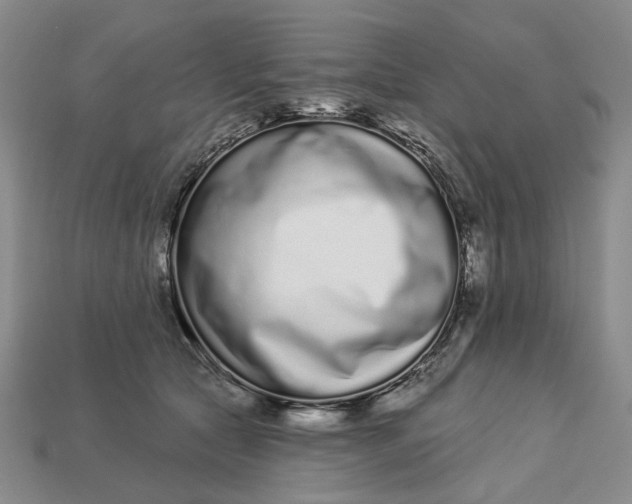 X0000112720561200909101449