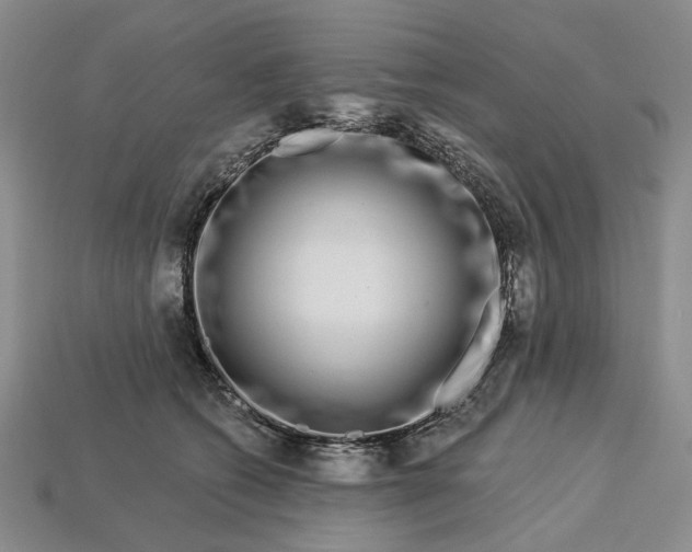 X0000112720562200909101449