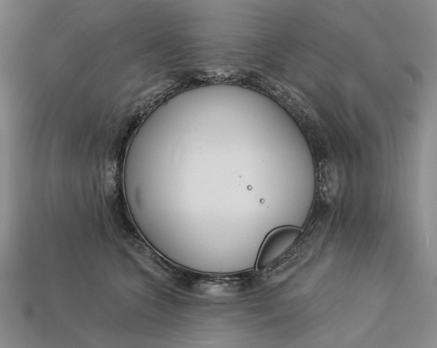 X0000112720563200909101449