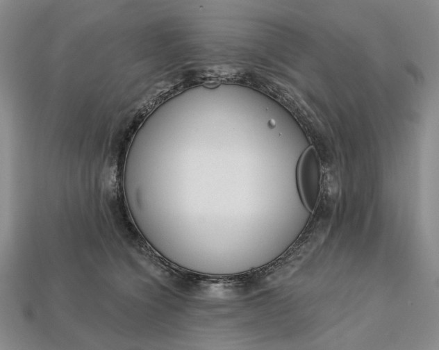 X0000112720564200909101449