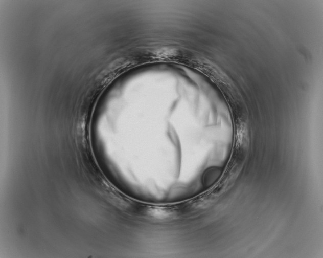 X0000112720565200909101449