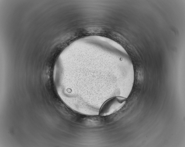 X0000112720567200909101449