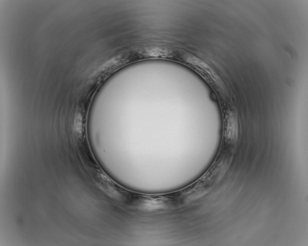 X0000112720569200909101449