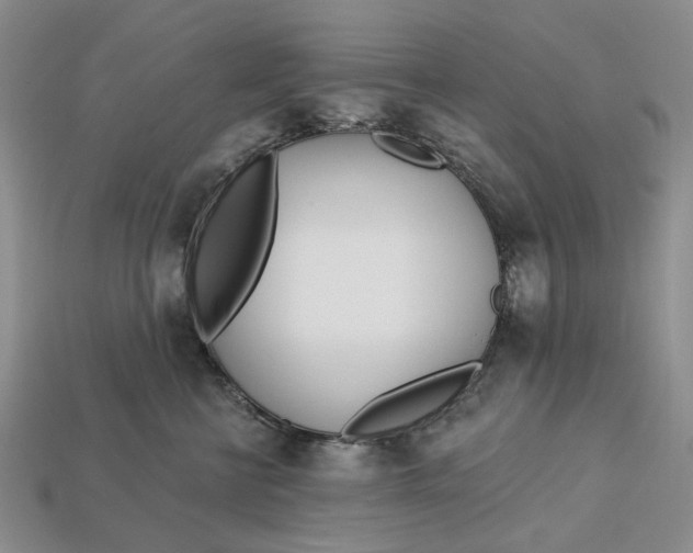 X0000112720570200909101449