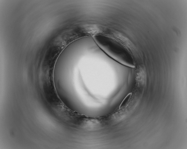 X0000112720572200909101449