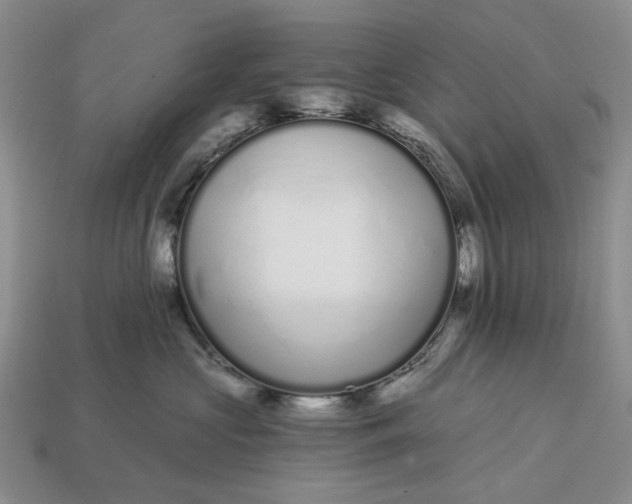 X0000112720573200909101449