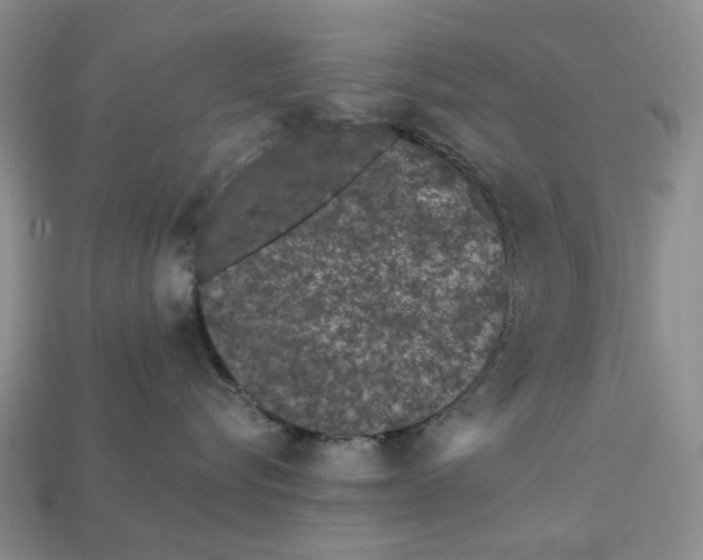 X0000112720576200909101449