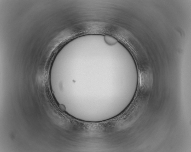 X0000112720579200909101448