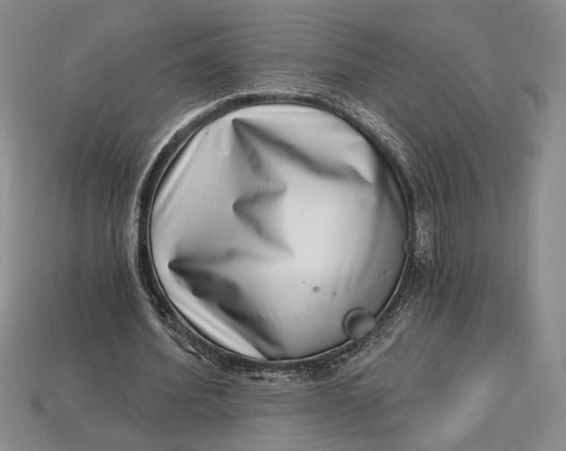 X0000112720580200909101448