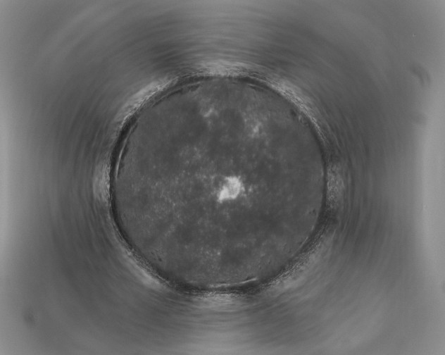 X0000112720581200909101448