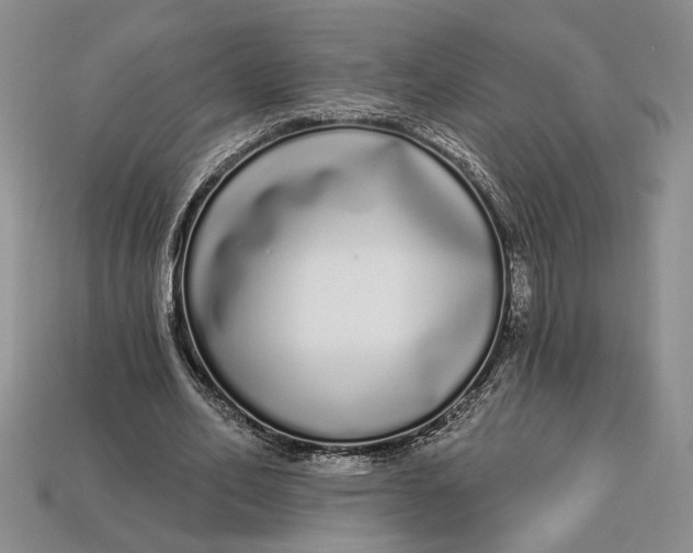 X0000112720582200909101448