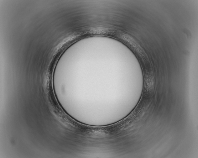 X0000112720583200909101448