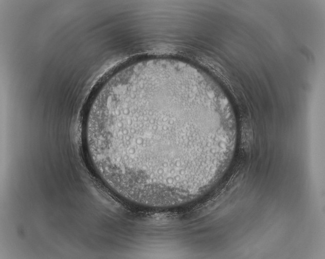 X0000112720584200909101448