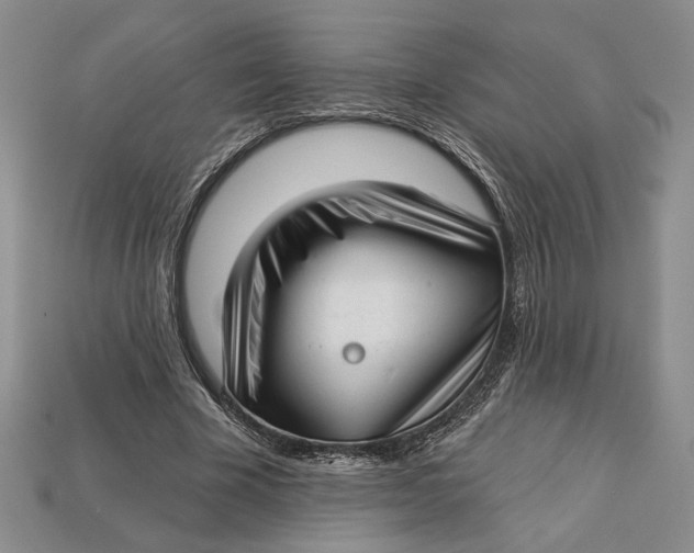 X0000112720585200909101448