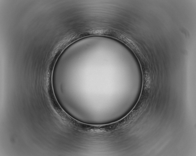 X0000112720586200909101448