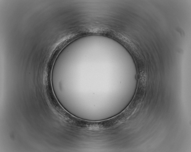 X0000112720587200909101448