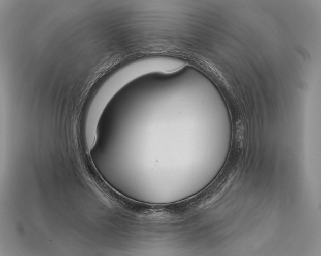 X0000112720589200909101448