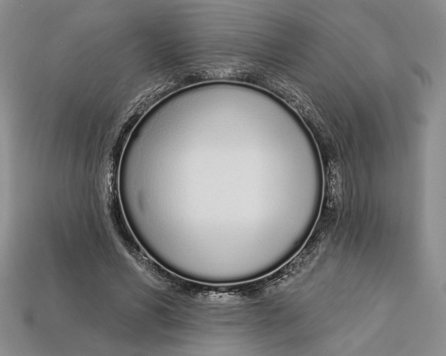 X0000112720590200909101448