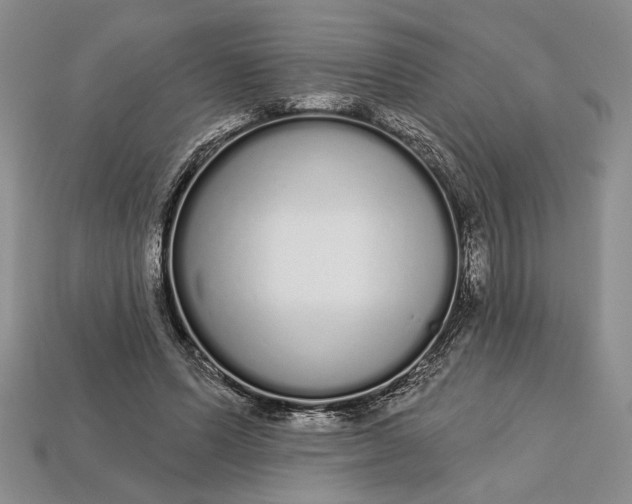 X0000112720591200909101448