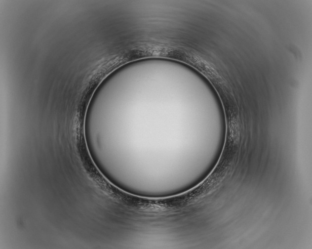 X0000112720594200909101448