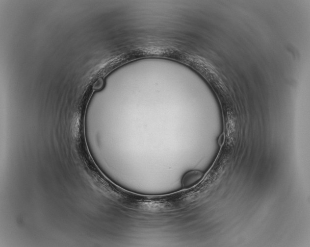 X0000112720596200909101448