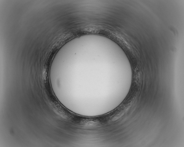 X0000112720597200909101448