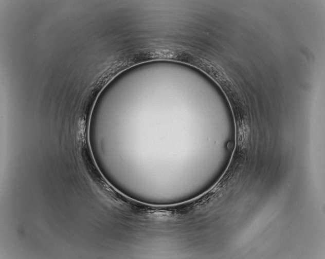 X0000112720598200909101448