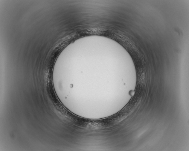 X0000112720599200909101448