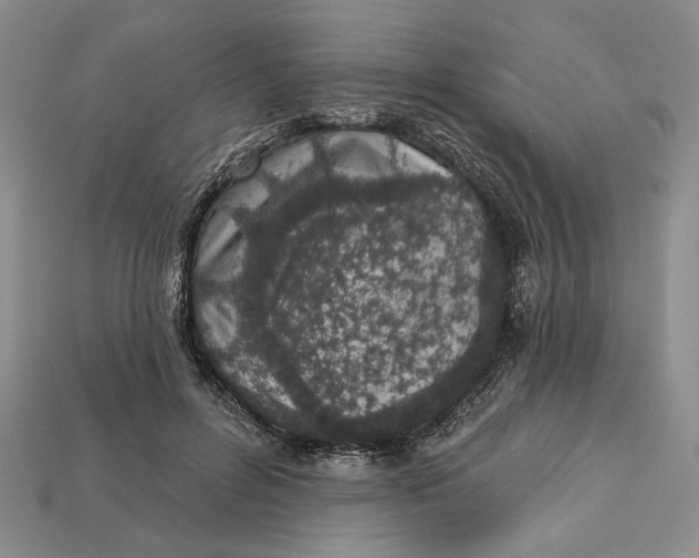 X0000112720600200909101448