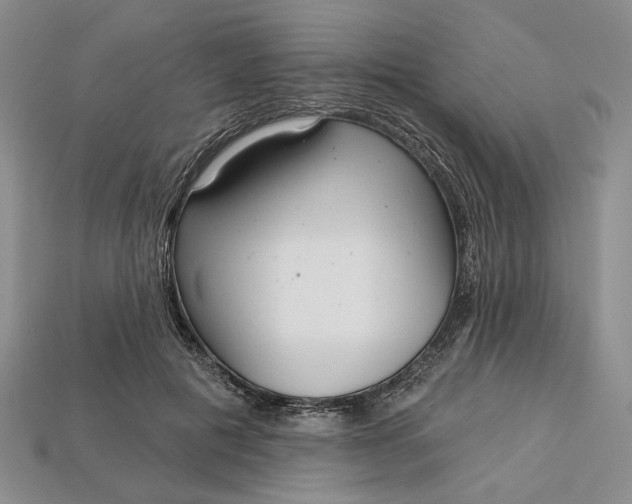 X0000112720601200909101448