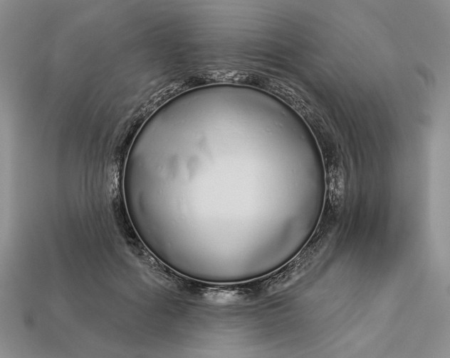 X0000112720602200909101448