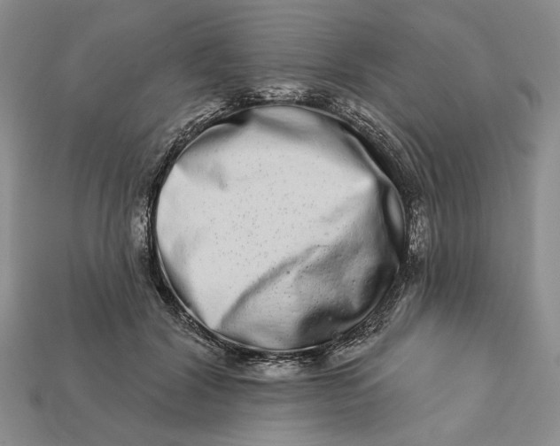 X0000112720604200909101448