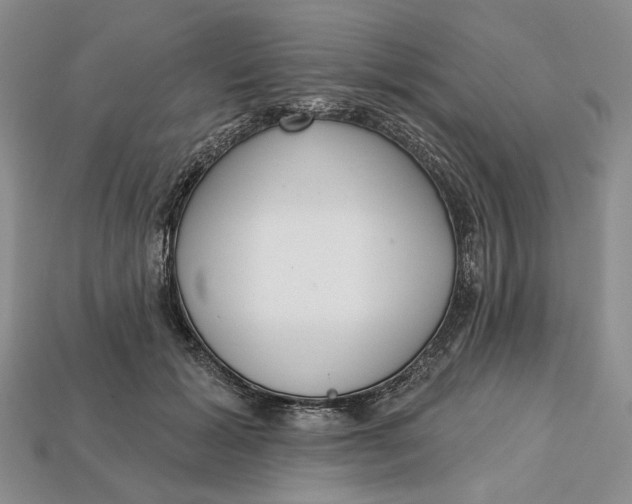 X0000112720605200909101448