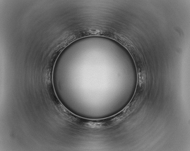 X0000112720606200909101448