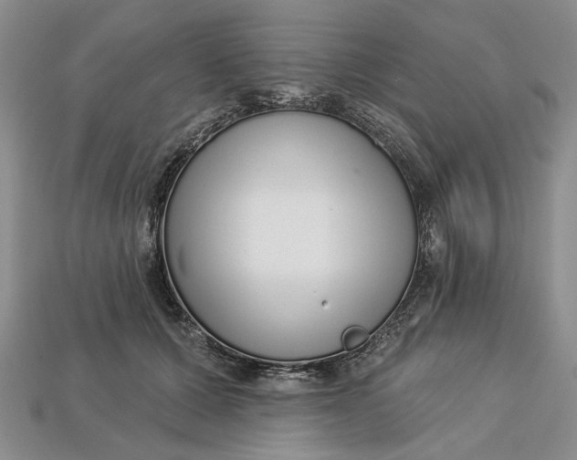 X0000112720607200909101448