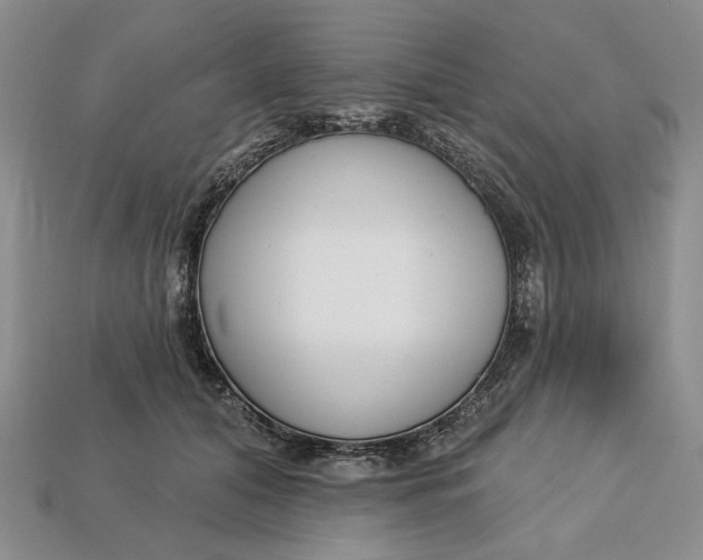 X0000112720608200909101448