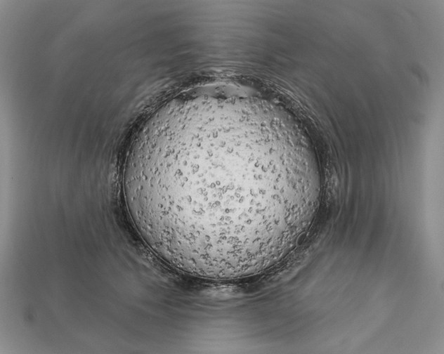 X0000112720609200909101448